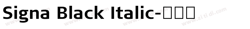 Signa Black Italic字体转换